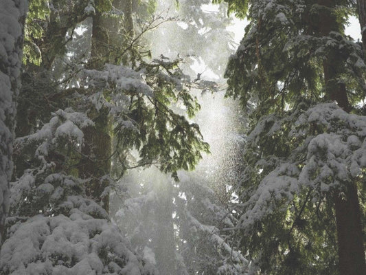 Winter Wellness Habits for the Practicing Esthetician